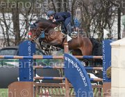 Arioldi F Ambra TosTour 2013- S4 6594 : Ambra, Arezzo Equestrian Centre, Arioldi Francesca, Toscana Tour 2013, foto di Stefano Secchi ©